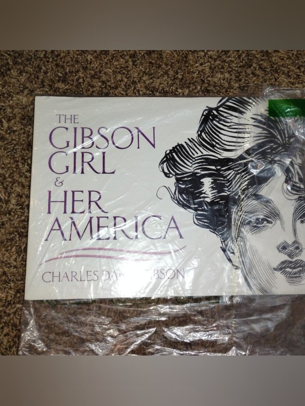 The Gibson Girl and Her America: The Best Drawings of Charles Dana Gibson NWT